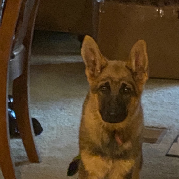 Unique - Picture 10 of 16